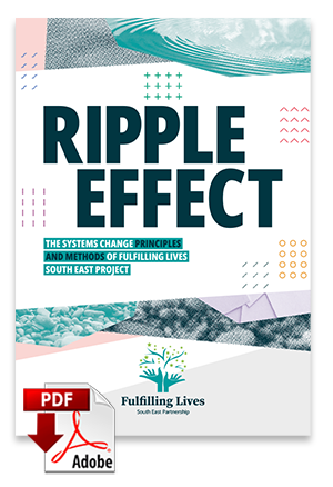 ripple-effect-overview-systems-principles-and-methods_W300