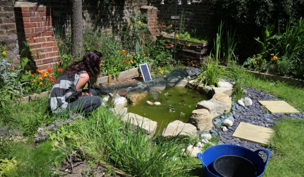 Featured Image Correct (2)