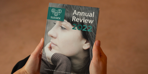 Annual Review pubs