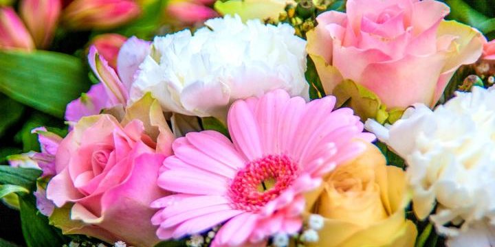 birth_month_flowers-primary-1920x1280px_pixabay